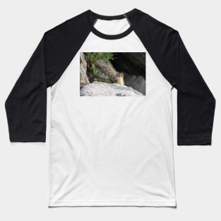 Long-tailed Weasel Baseball T-Shirt